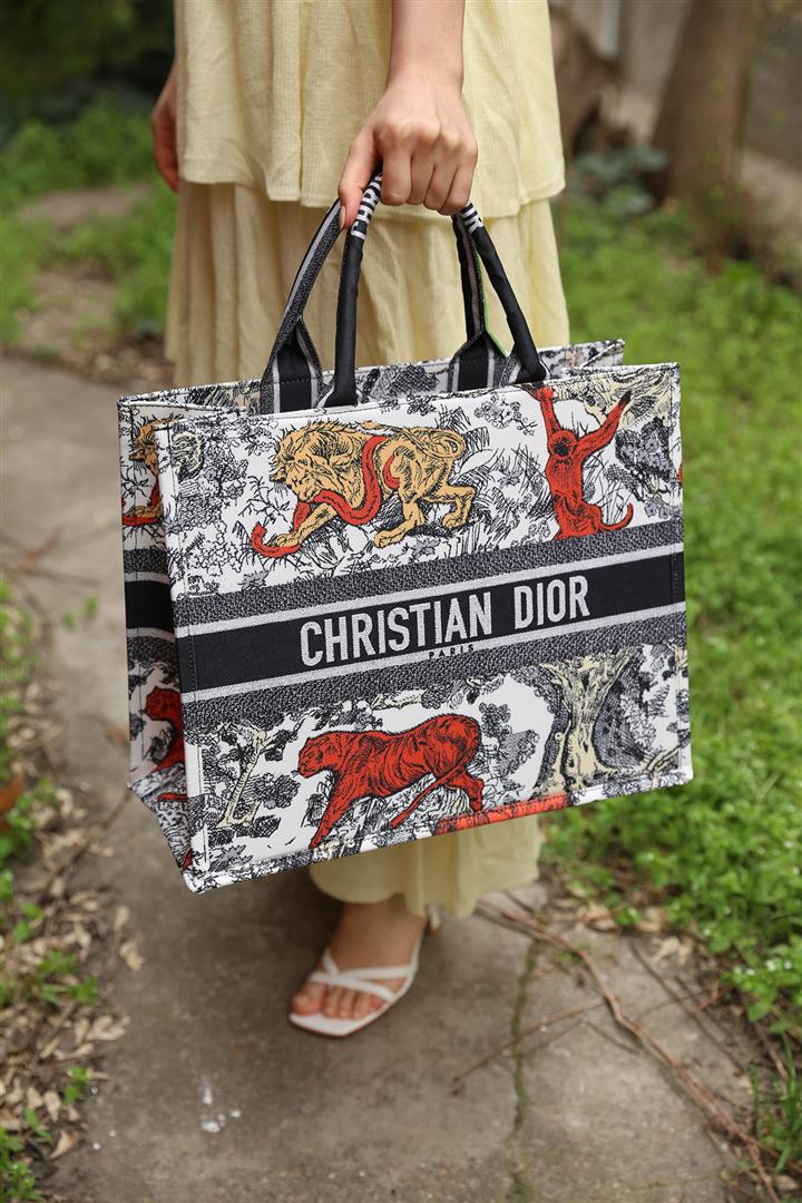 Dior Çanta 