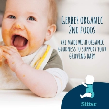 Gerber Organic 2nd Foods, Fruit & Veggie Variety Pack - 18'li Paket
