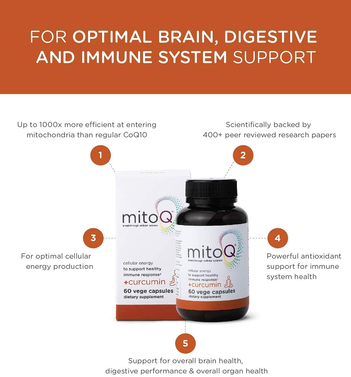 MitoQ Curcumin CoQ10 Antioxidant Supplement - 60 Tablet