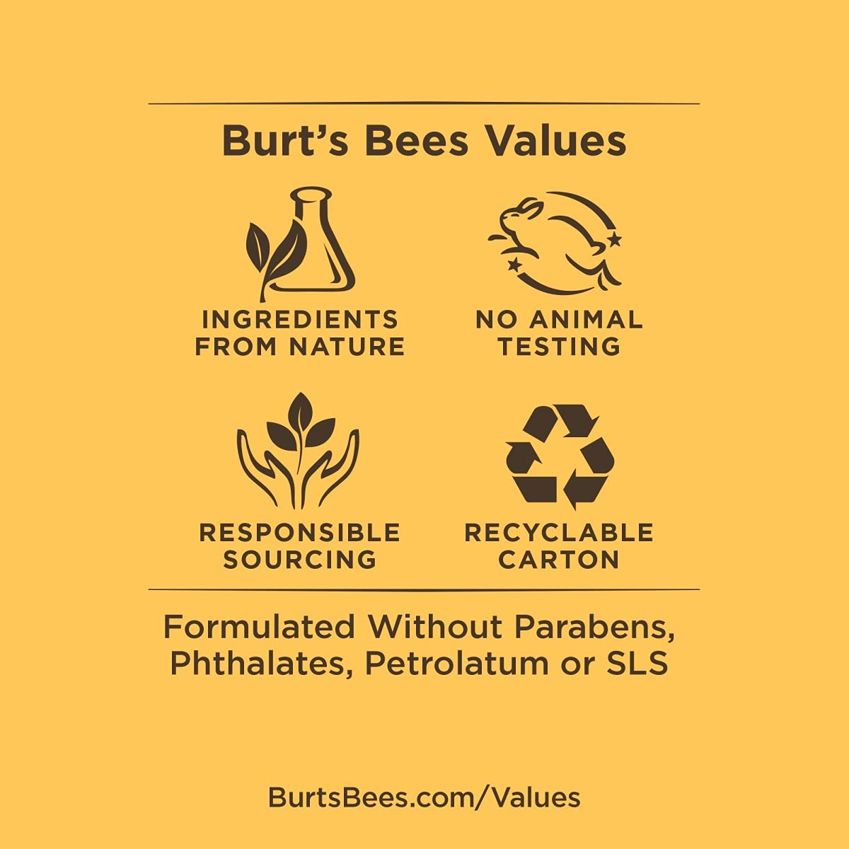 Burt's Bees Gift Set - 6 Products