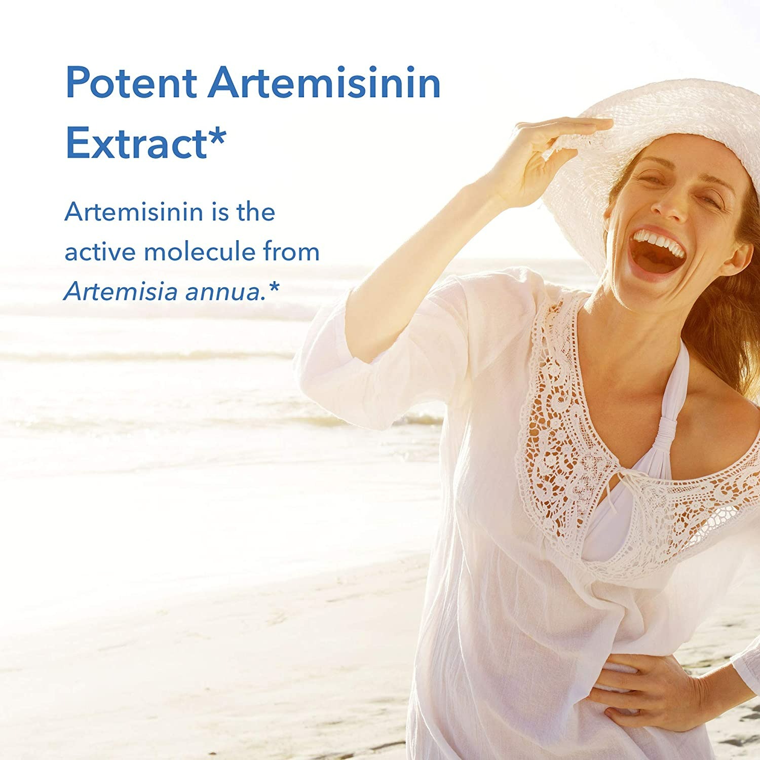 Allergy Research Group Artemisinin - 90 Tablet