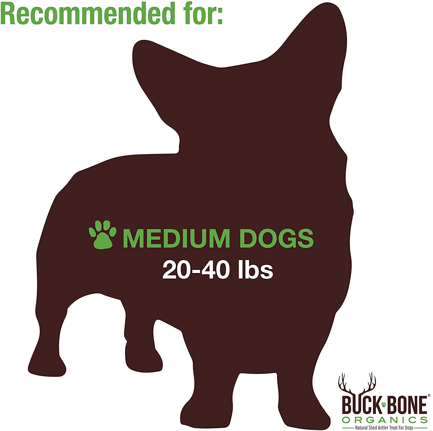 Buck Bone Organics Split Elk Antlers for Dogs