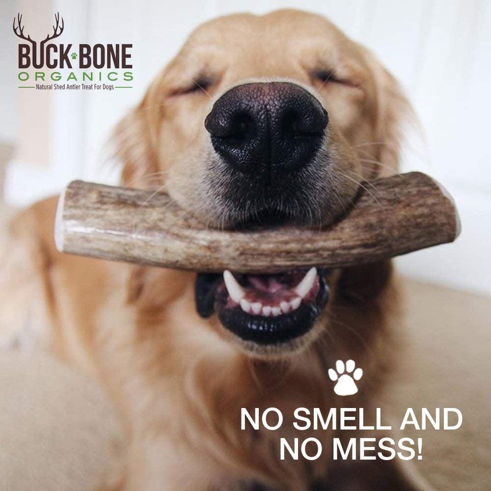 Buck Bone Organics Elk Antlers for Dogs