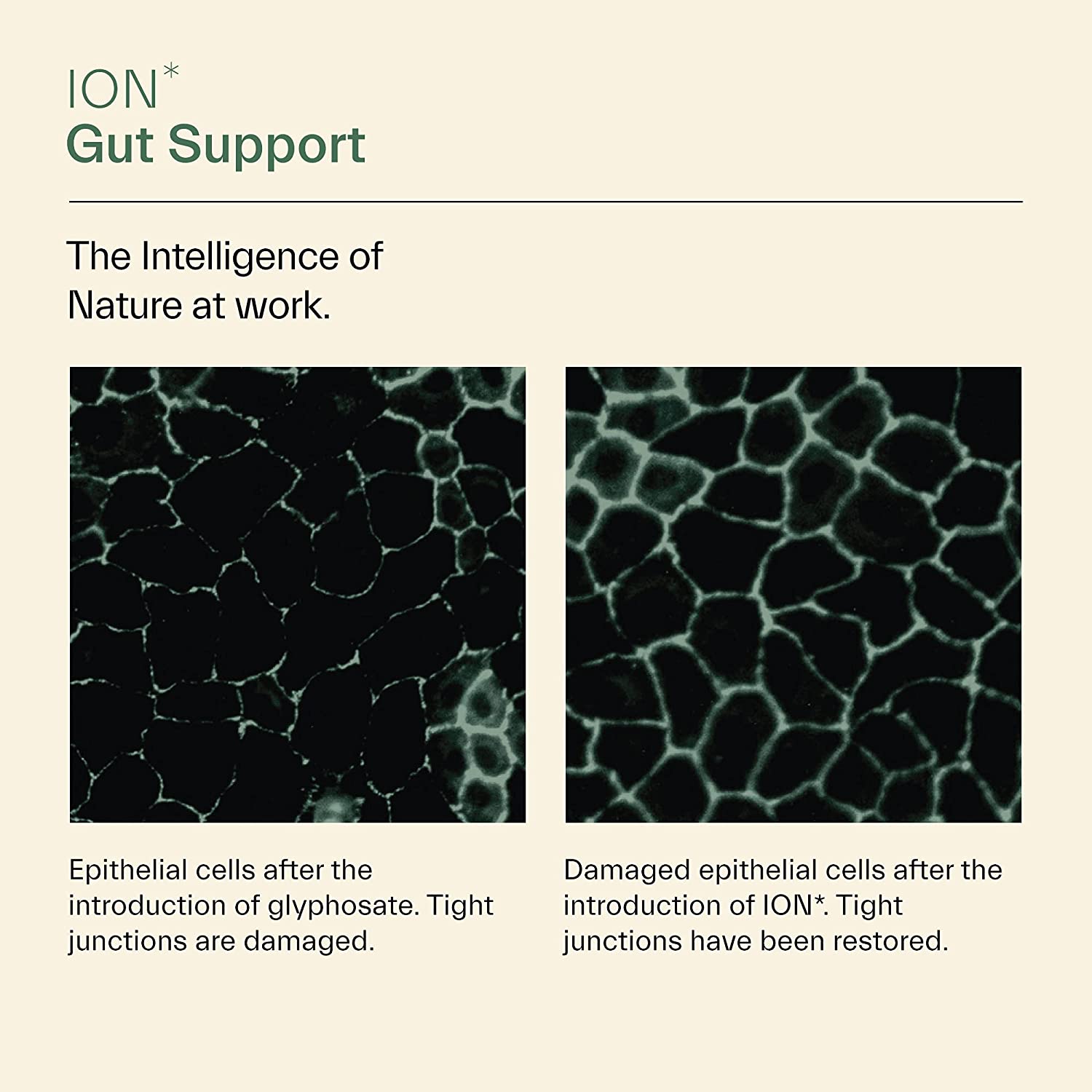 ION Intelligence of Nature Gut Support - 946 ml