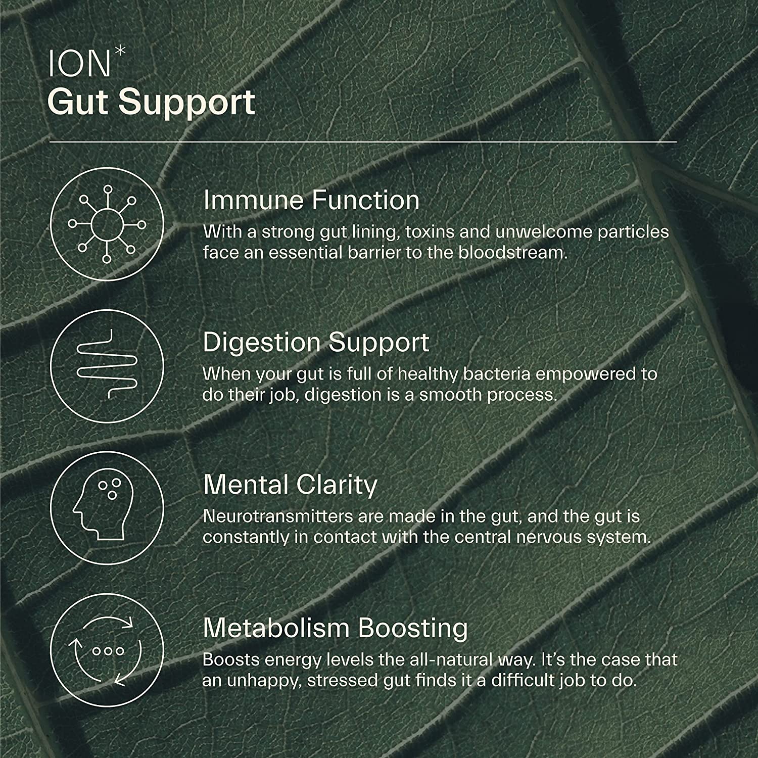 ION Intelligence of Nature Gut Support - 473 ml