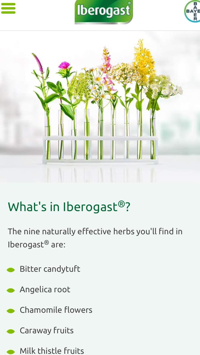 İberogast Herb Treatment Solution - 100 ml