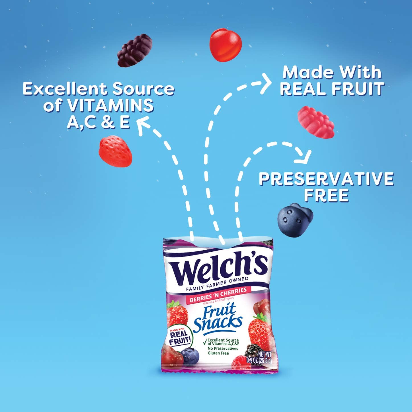 Welch’s Fruit Snacks - 5 oz - 12'li Paket