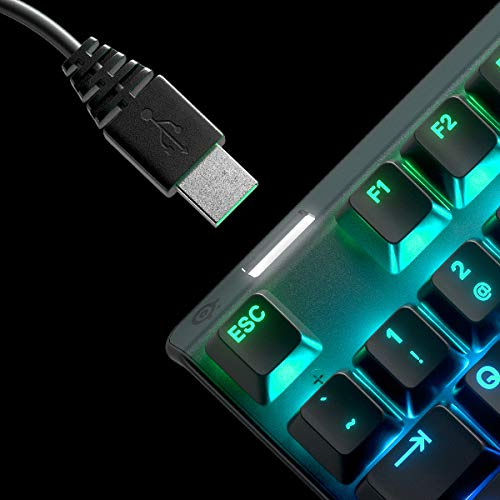 SteelSeries Apex 7 TKL Mechanical Oyuncu Klavyesi