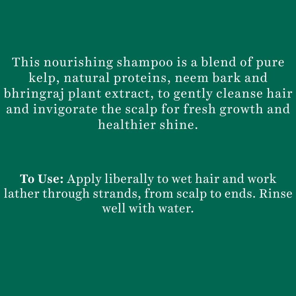 Biotique Bio Kelp Protein Shampoo - 340 ml