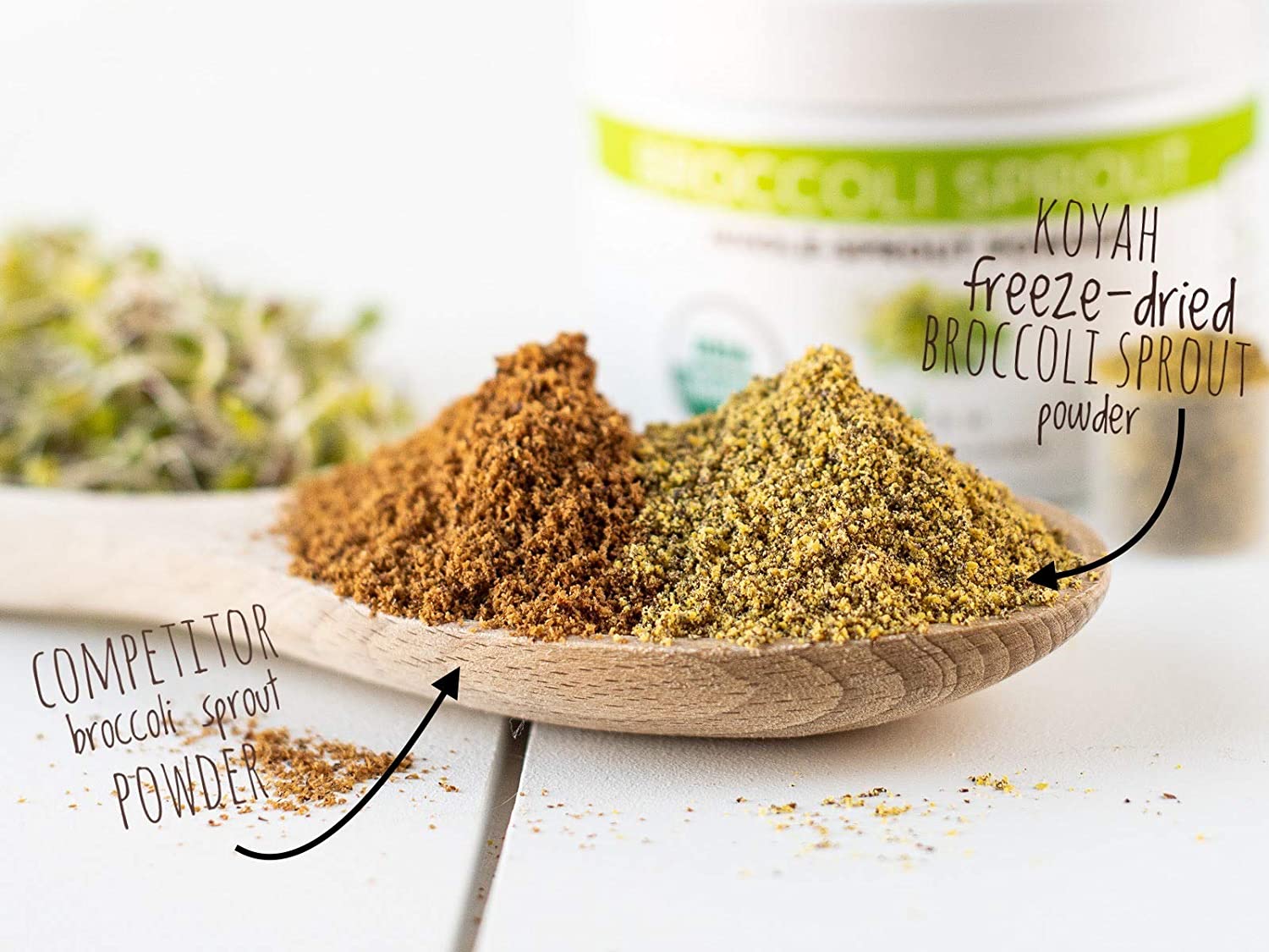 Koyah - Organic Broccoli Sprout Powder