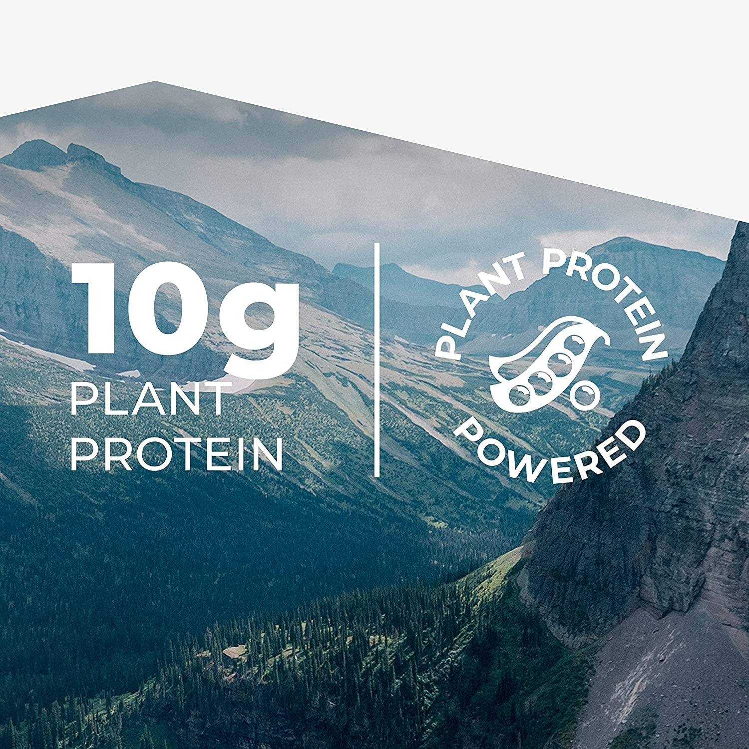 Evolve Plant Based Protein Bar - 12'li Paket