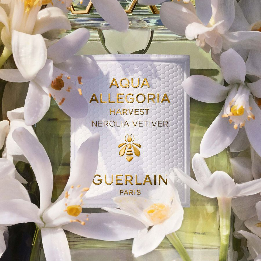 Guerlain Aqua Allegoria Nerolia Vetiver Harvest - Eau De Toilette - 125 Ml