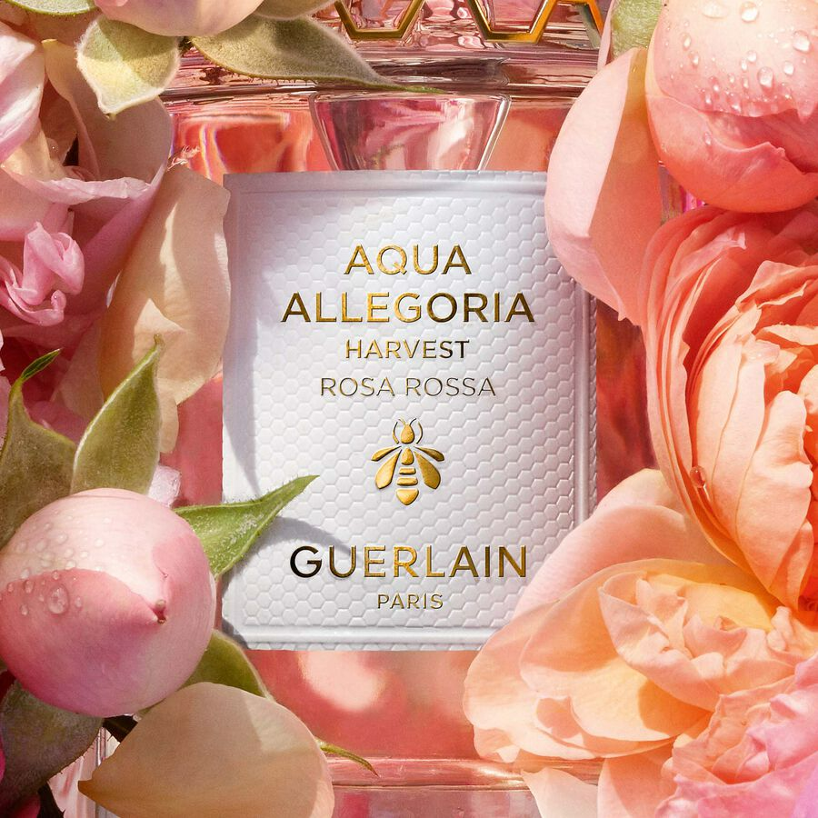 Guerlain Aqua Allegoria Rosa Rossa Harvest - Eau De Toillette - 125 Ml