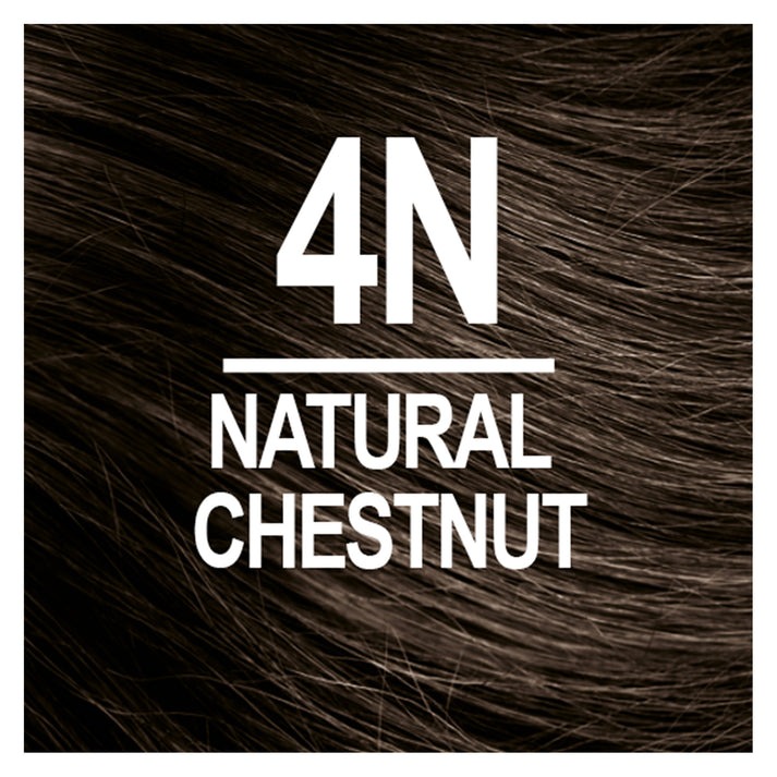 Naturtint Permanent Hair Color 4N Natural Chestnut