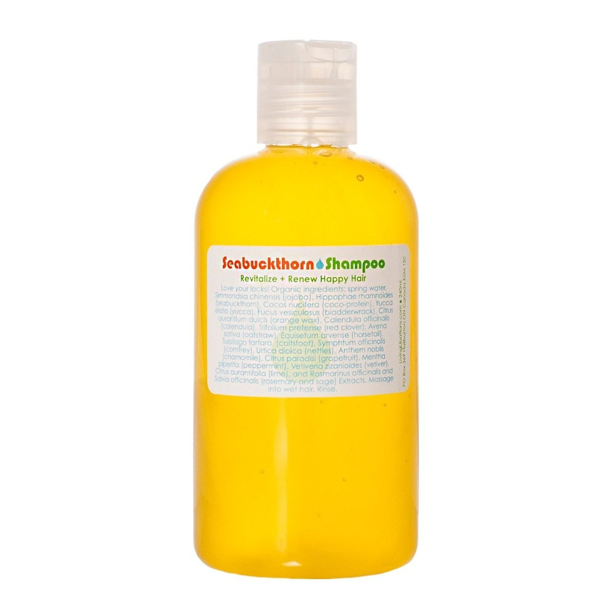 Living Libations Seabuckthorn Shampoo - 240 Ml