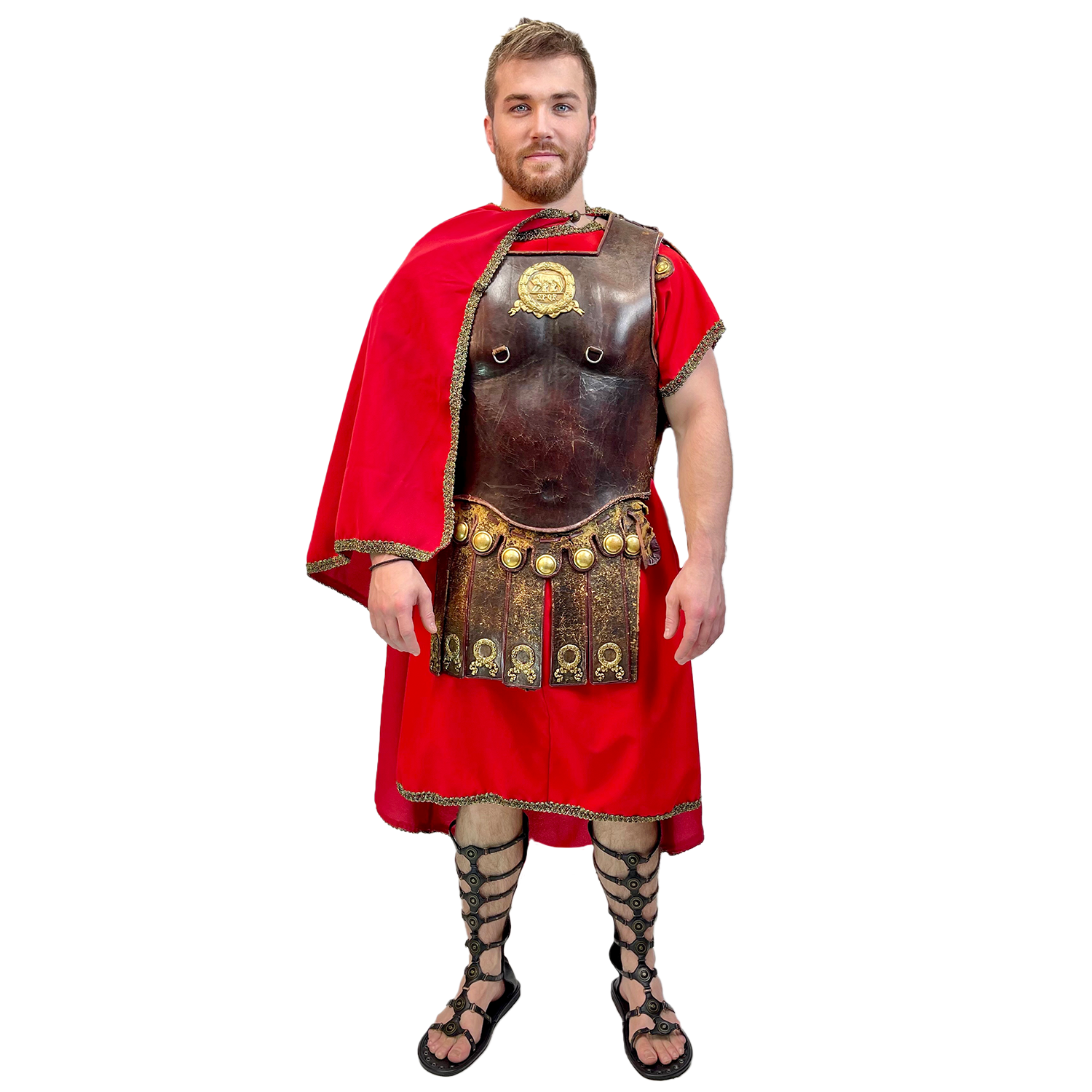 Abracadabra Nyc Premium Bear Gladiator Adult Costume