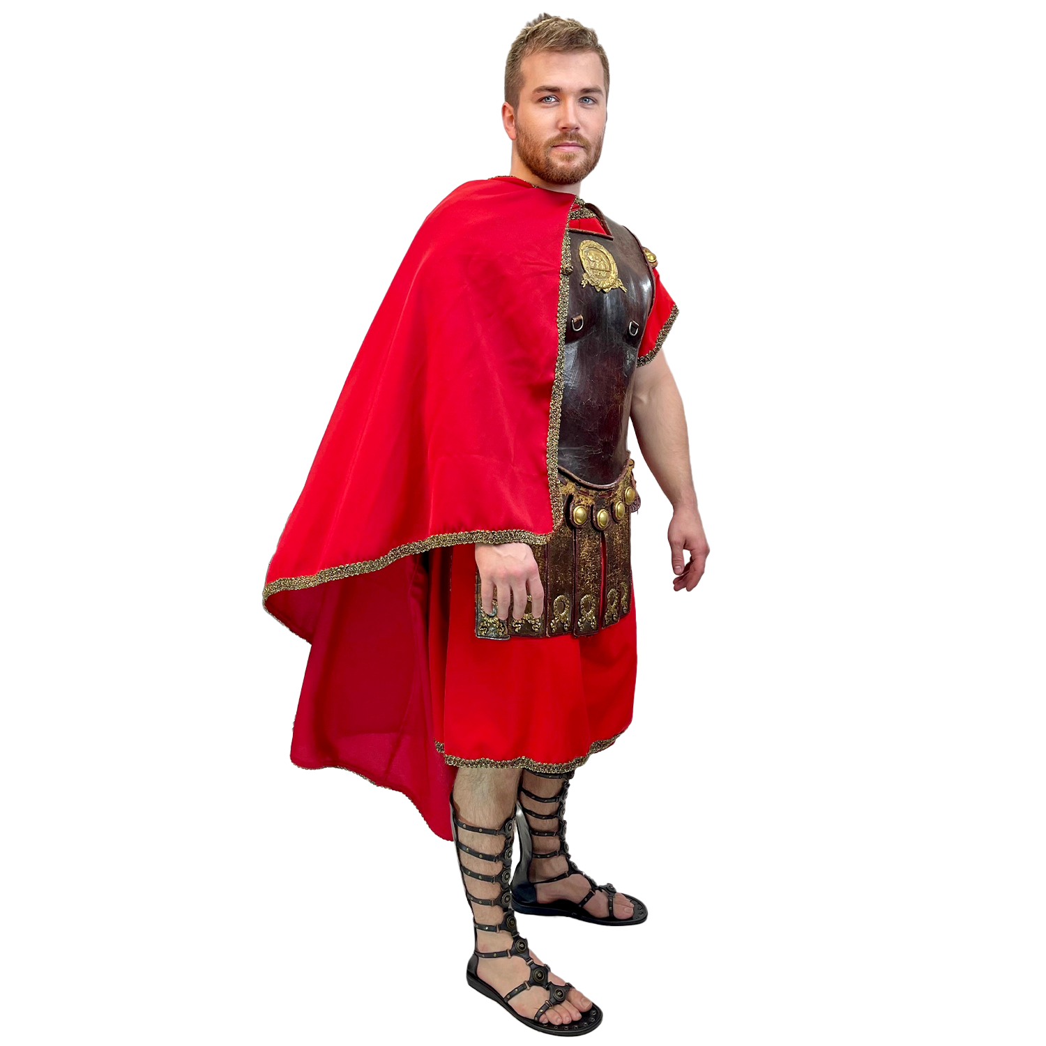 Abracadabra Nyc Premium Bear Gladiator Adult Costume