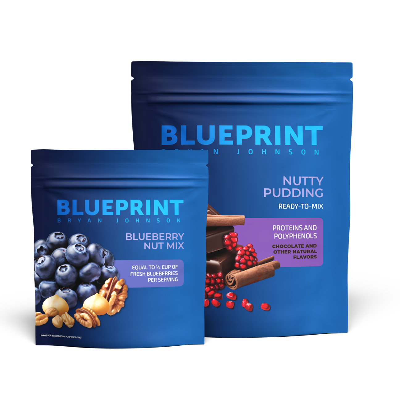 Blueprint Bryan Nutty Pudding + Blueberry Nut Mix