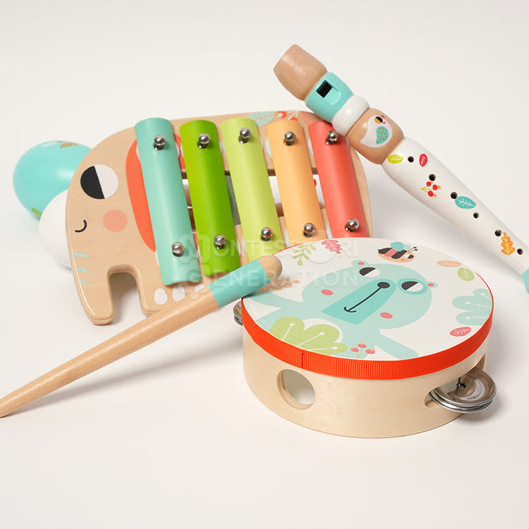 Montessori Music Set