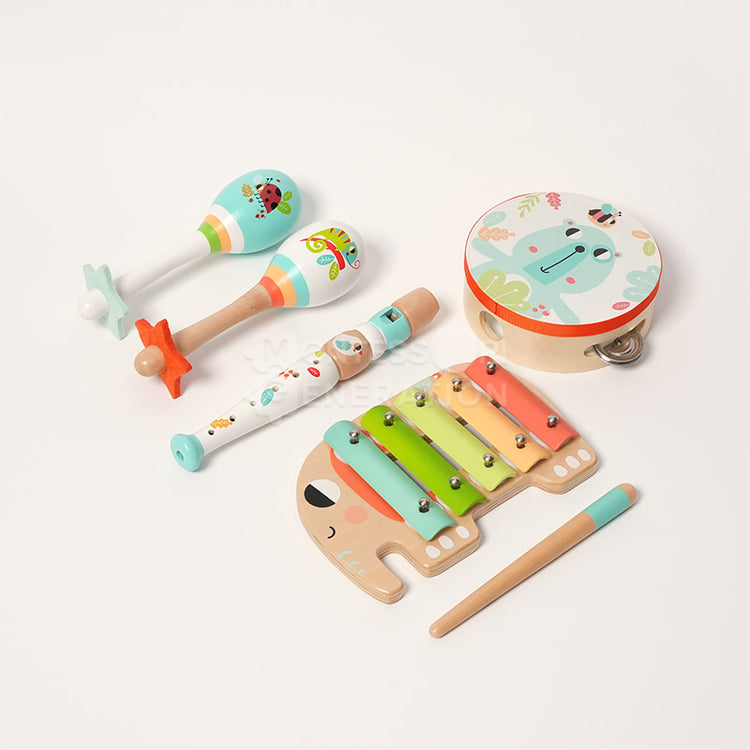 Montessori Music Set