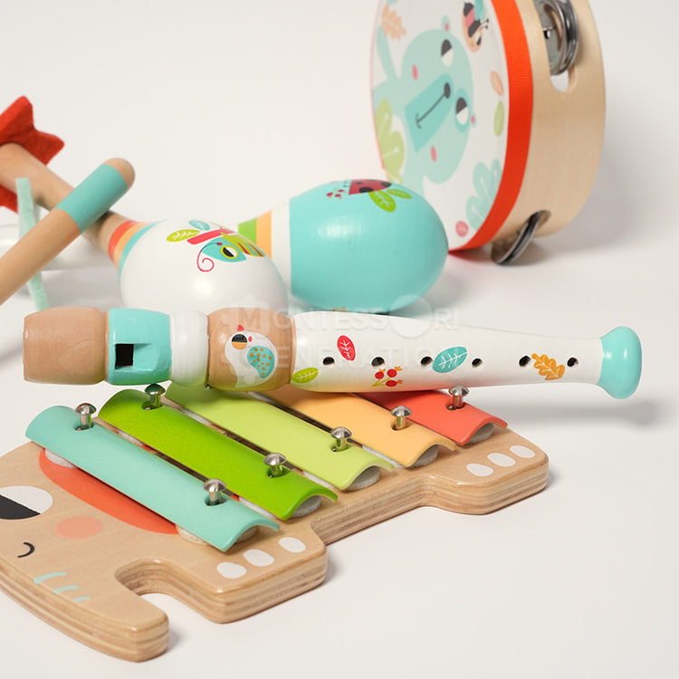 Montessori Music Set