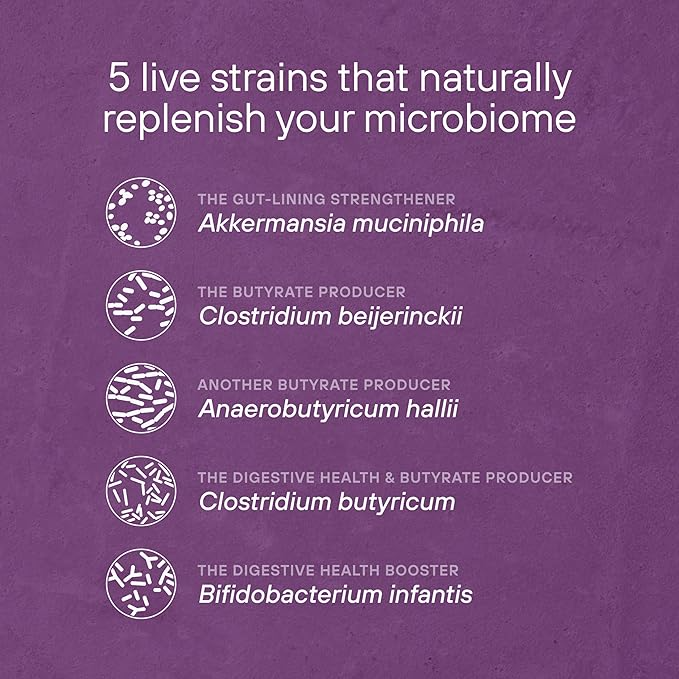 Pendulum Metabolic Daily - Multi-Strain Probiotic with Akkermansia Muciniphila to Support Metabolism and Sustain Energy Levels - for Women and Men - 30 Capsules (1 Pack)