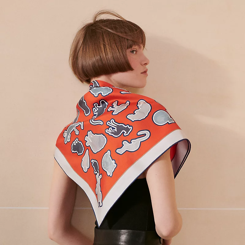 Hermes Caracteristick double face scarf 90