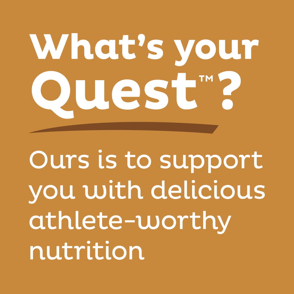 Quest Protein Bar Chocolate Chip Cookie Dough 21g Protein Gluten Free 4 Pack