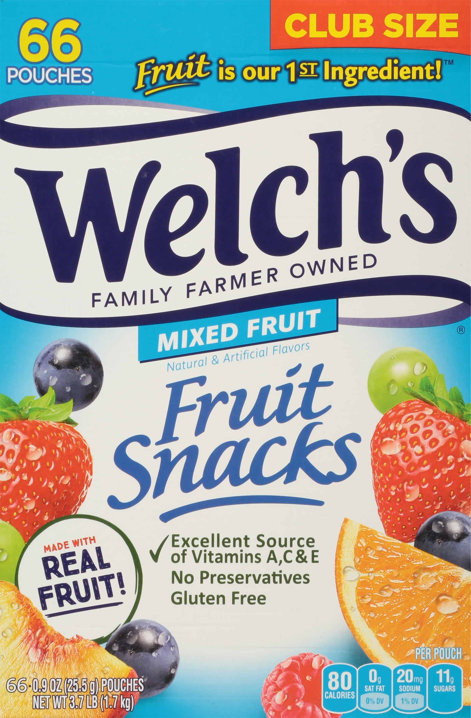 Welchs Mixed Fruits Snacks 66 Count