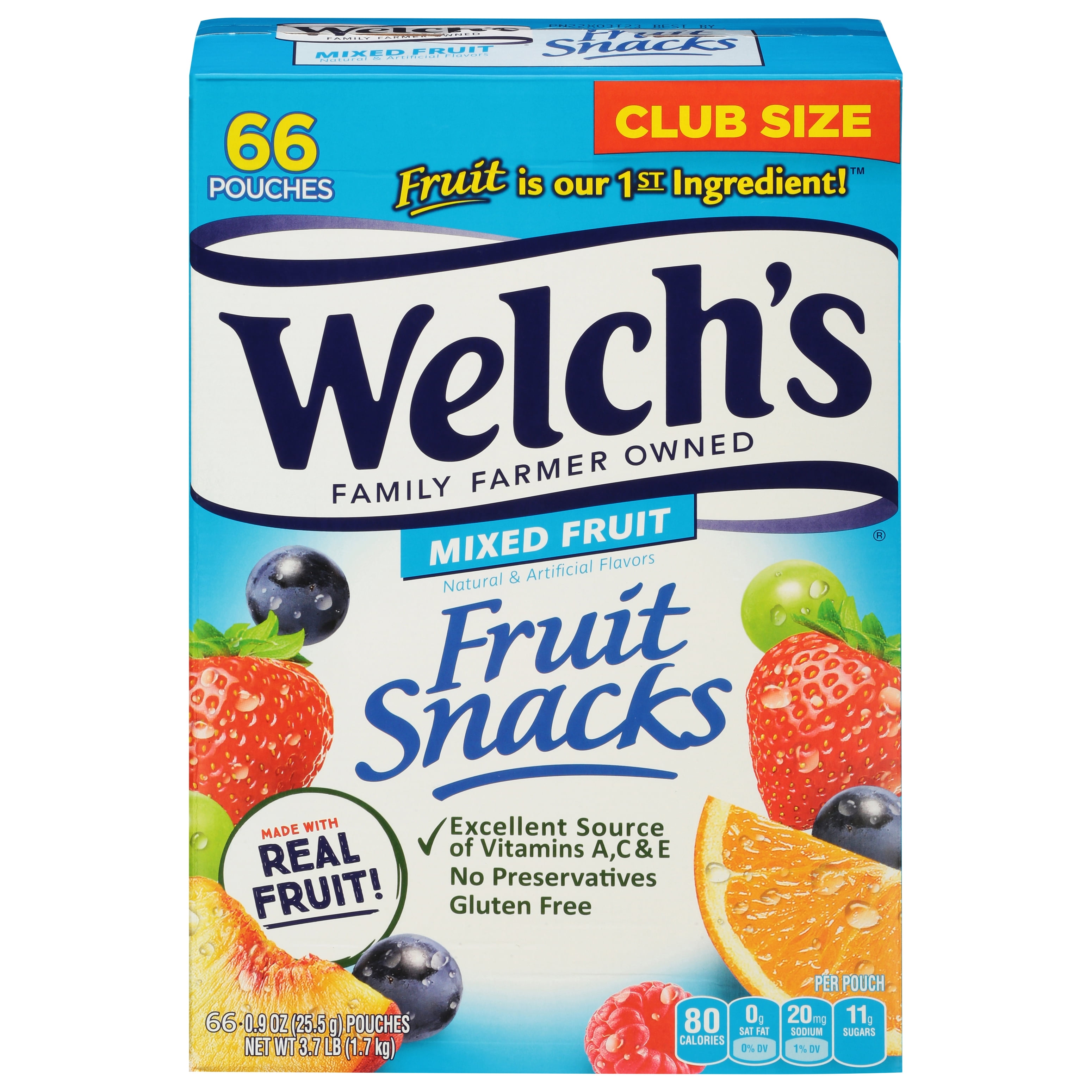 Welchs Mixed Fruits Snacks 66 Count