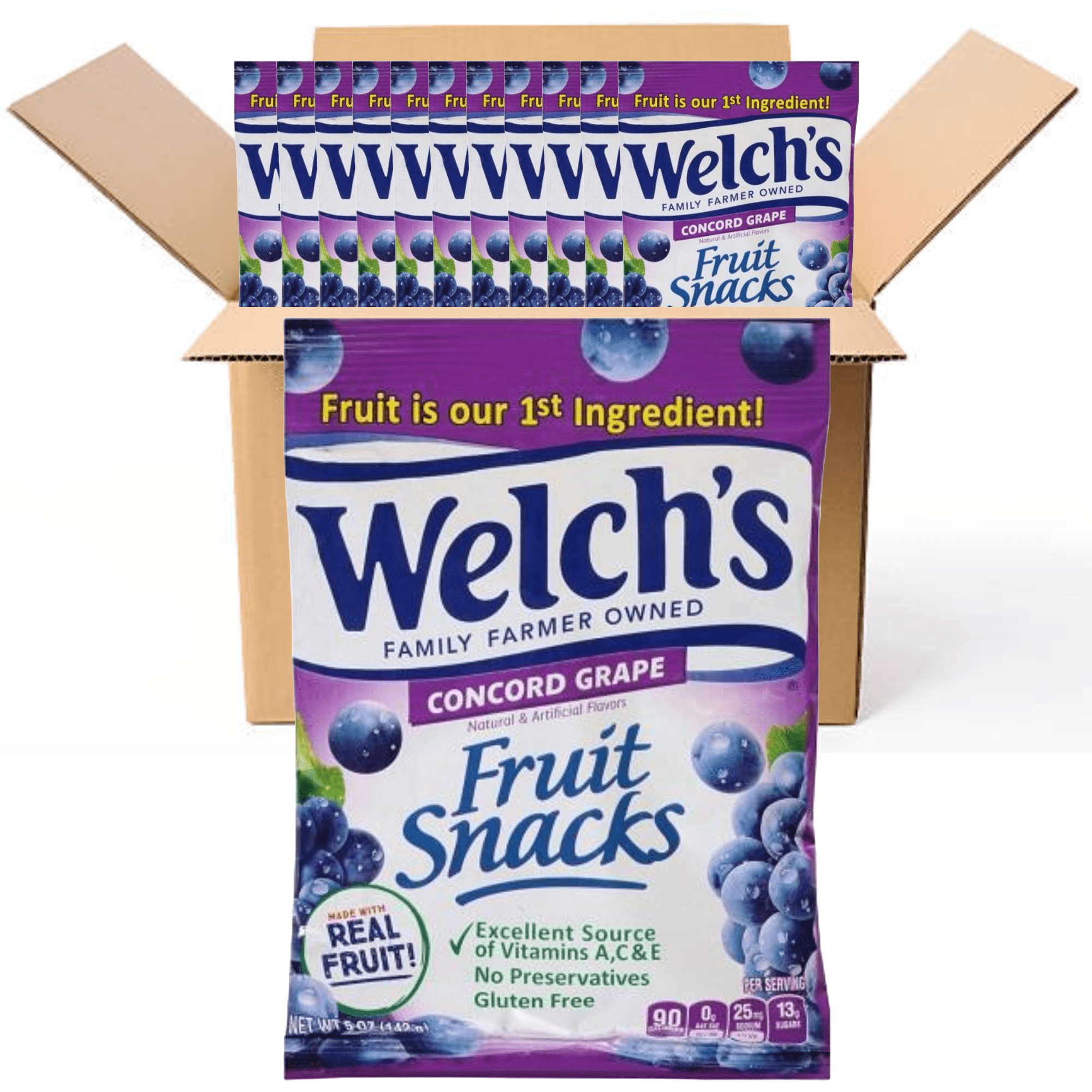 Welch's Concord Grape Fruit Snack 5oz Per Bag Pack of 12 Case