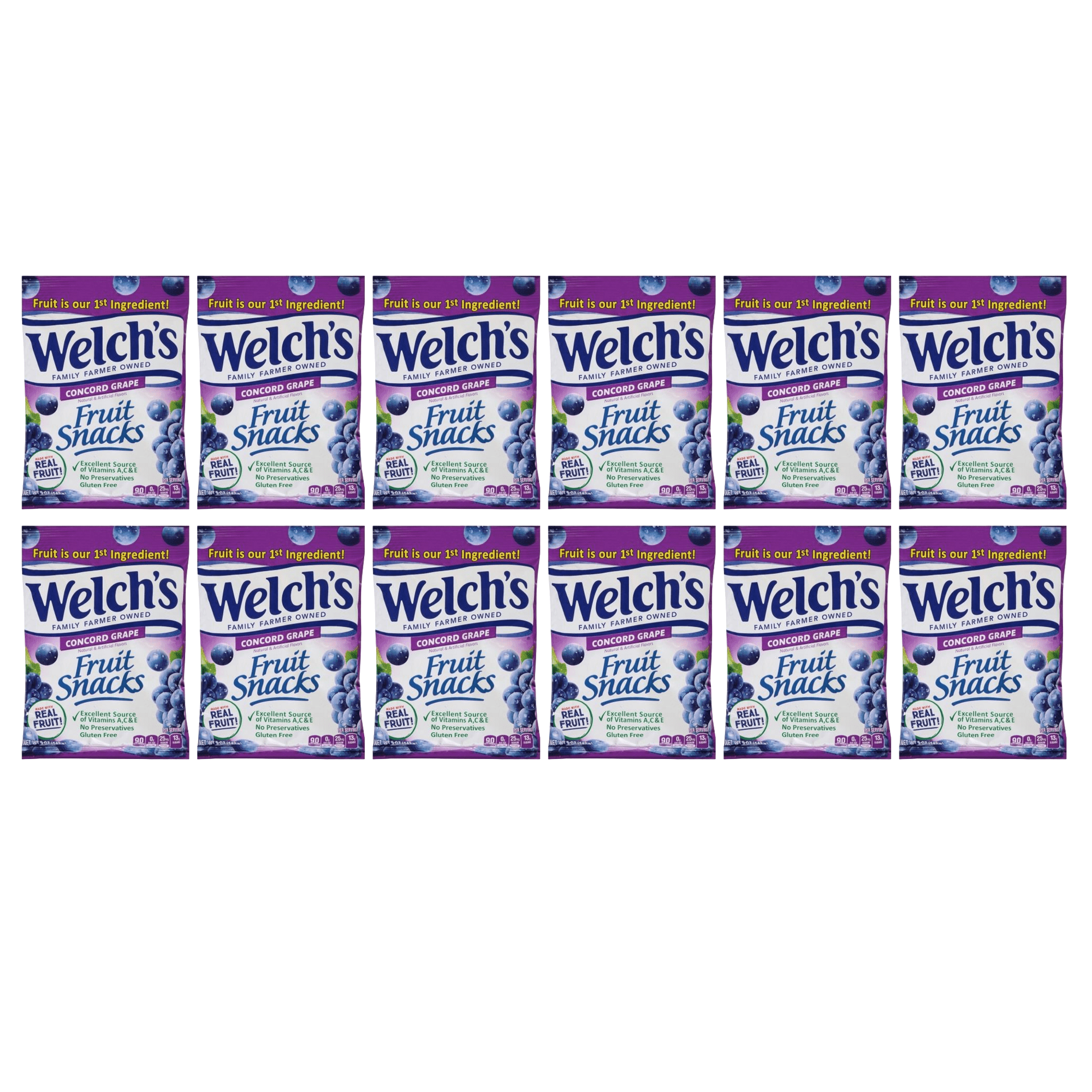 Welch's Concord Grape Fruit Snack 5oz Per Bag Pack of 12 Case