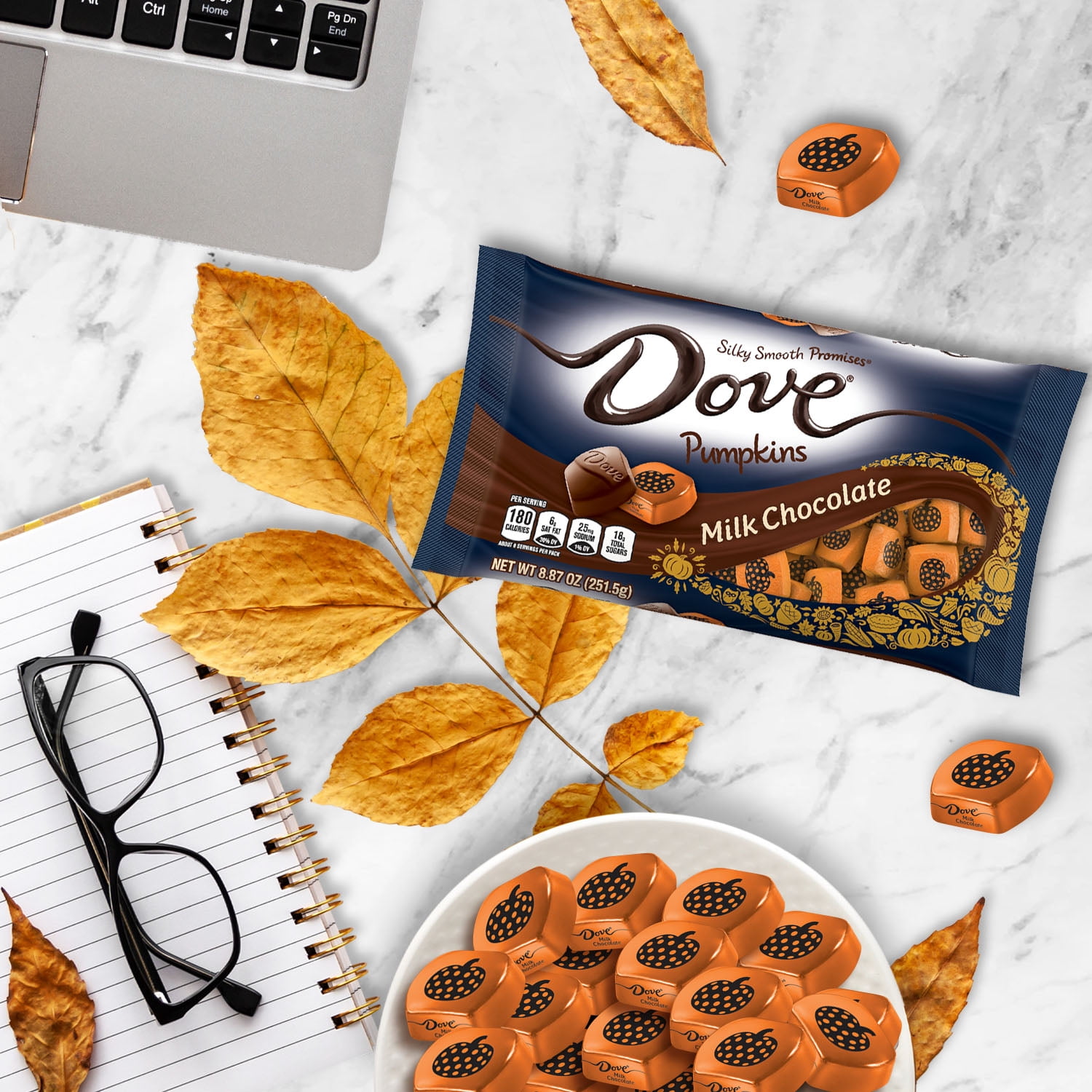 Dove Promises Milk Chocolate Pumpkin Fall Candy 8.87oz