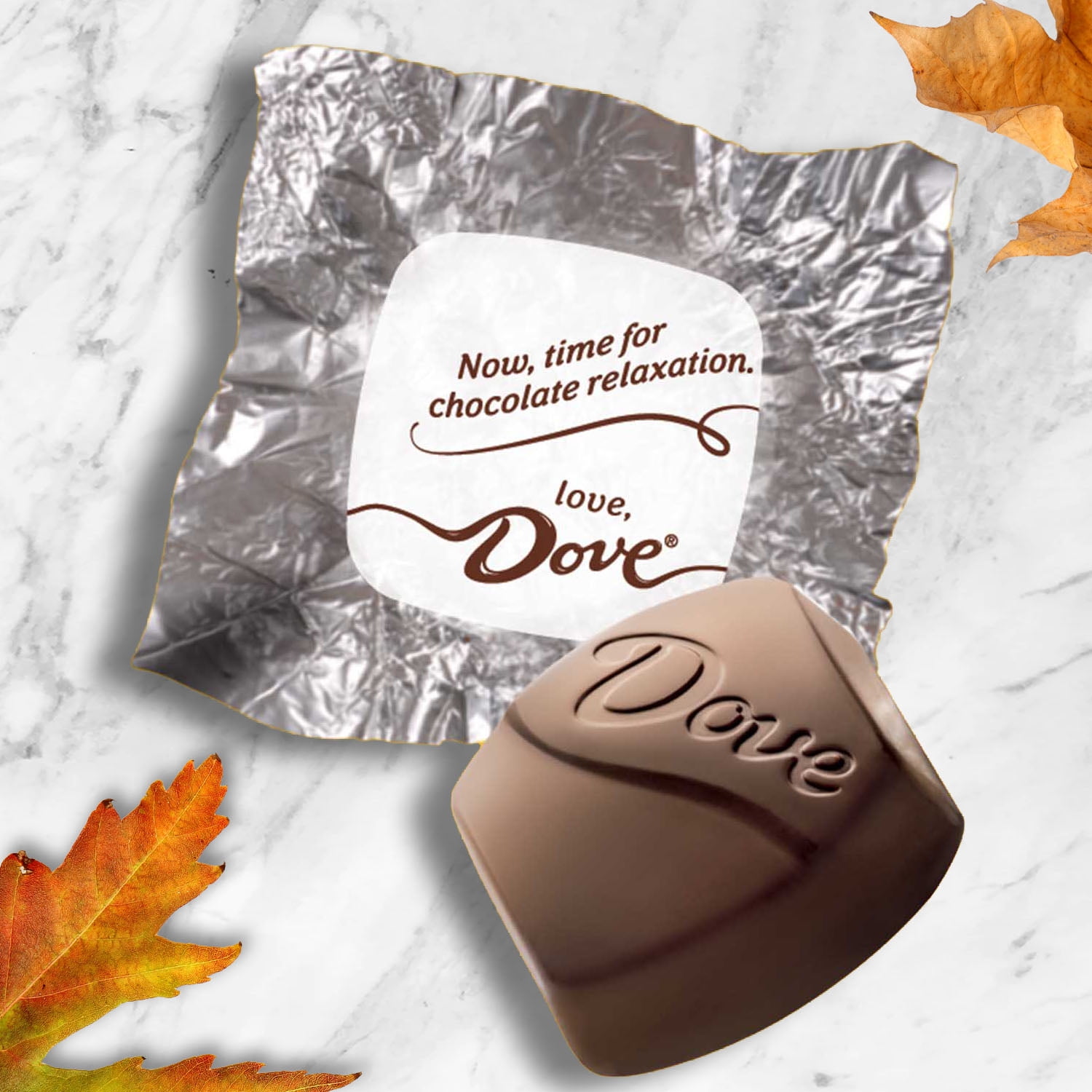 Dove Promises Milk Chocolate Pumpkin Fall Candy 8.87oz