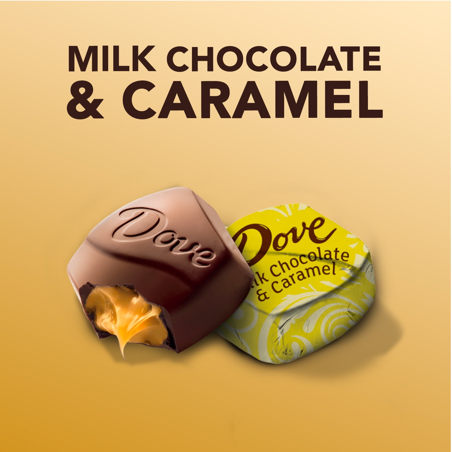 Dove Promises Milk Chocolate Caramel Candy 14.2 oz