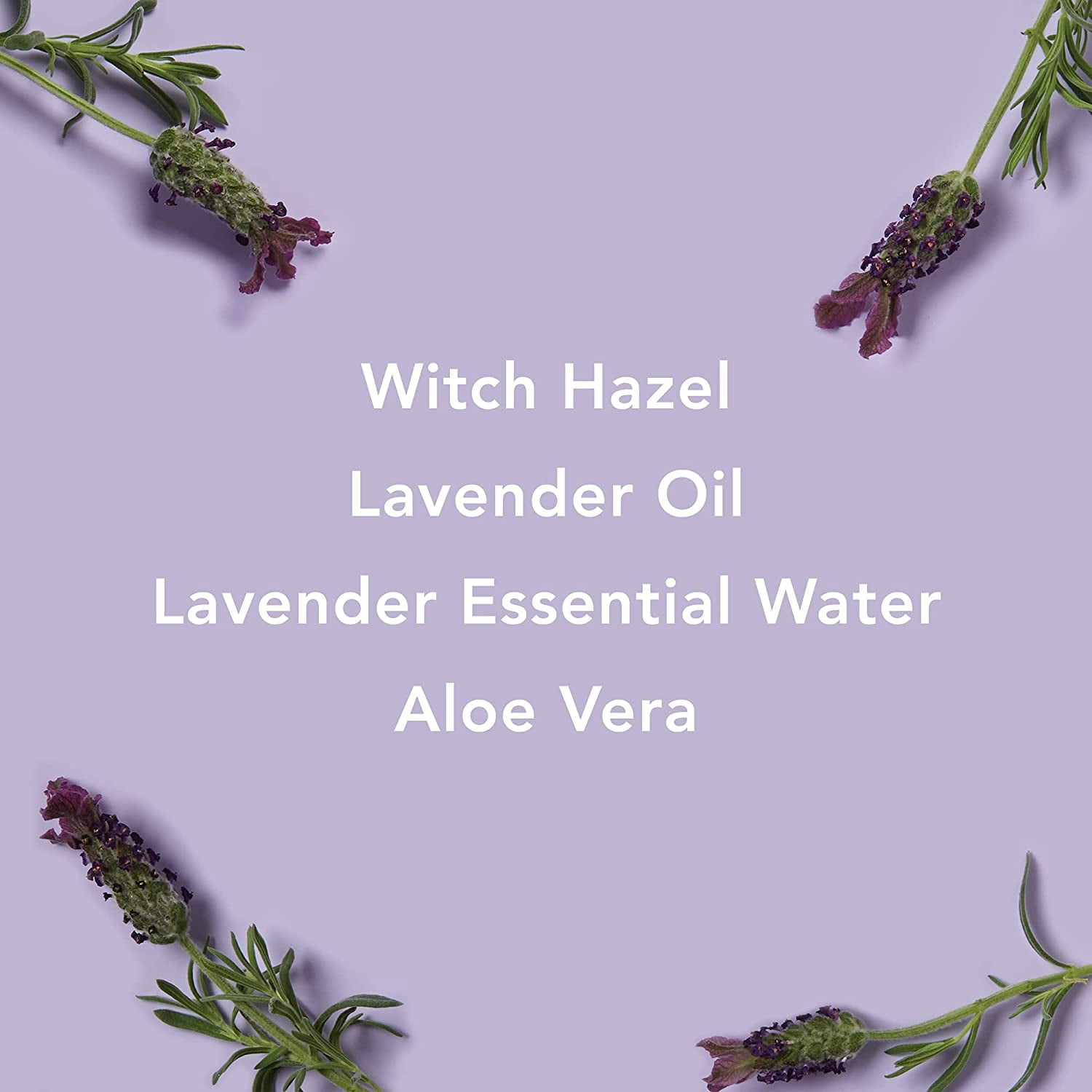 Mario Badescu Alcohol Free Witch Hazel Facial Toner Aging Skin Lavender Rose Water Aloe Vera Face Care