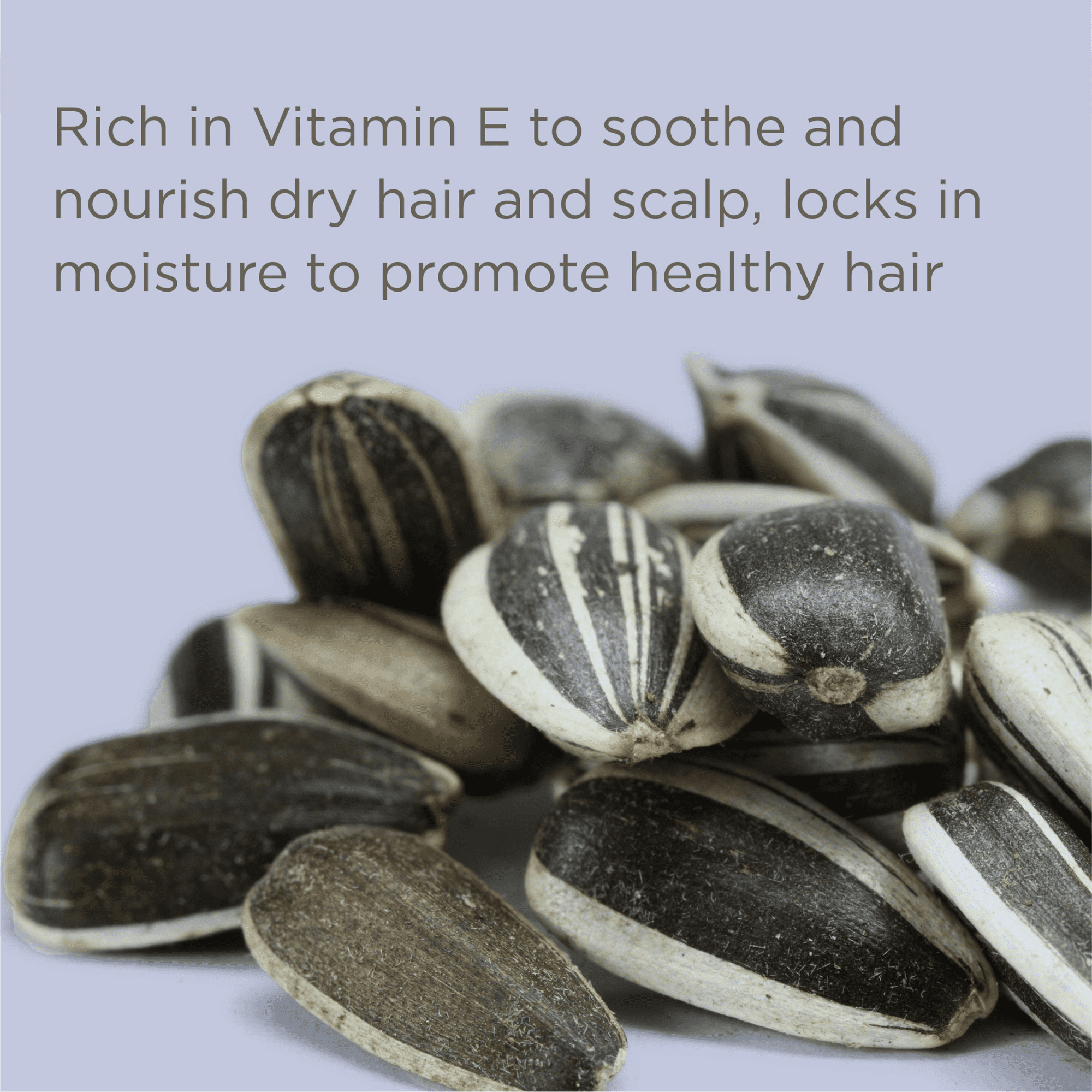 Hairitage Volumizing Texture Set Lazy Day Dry Shampoo Texturizing Hairspray Hair Products