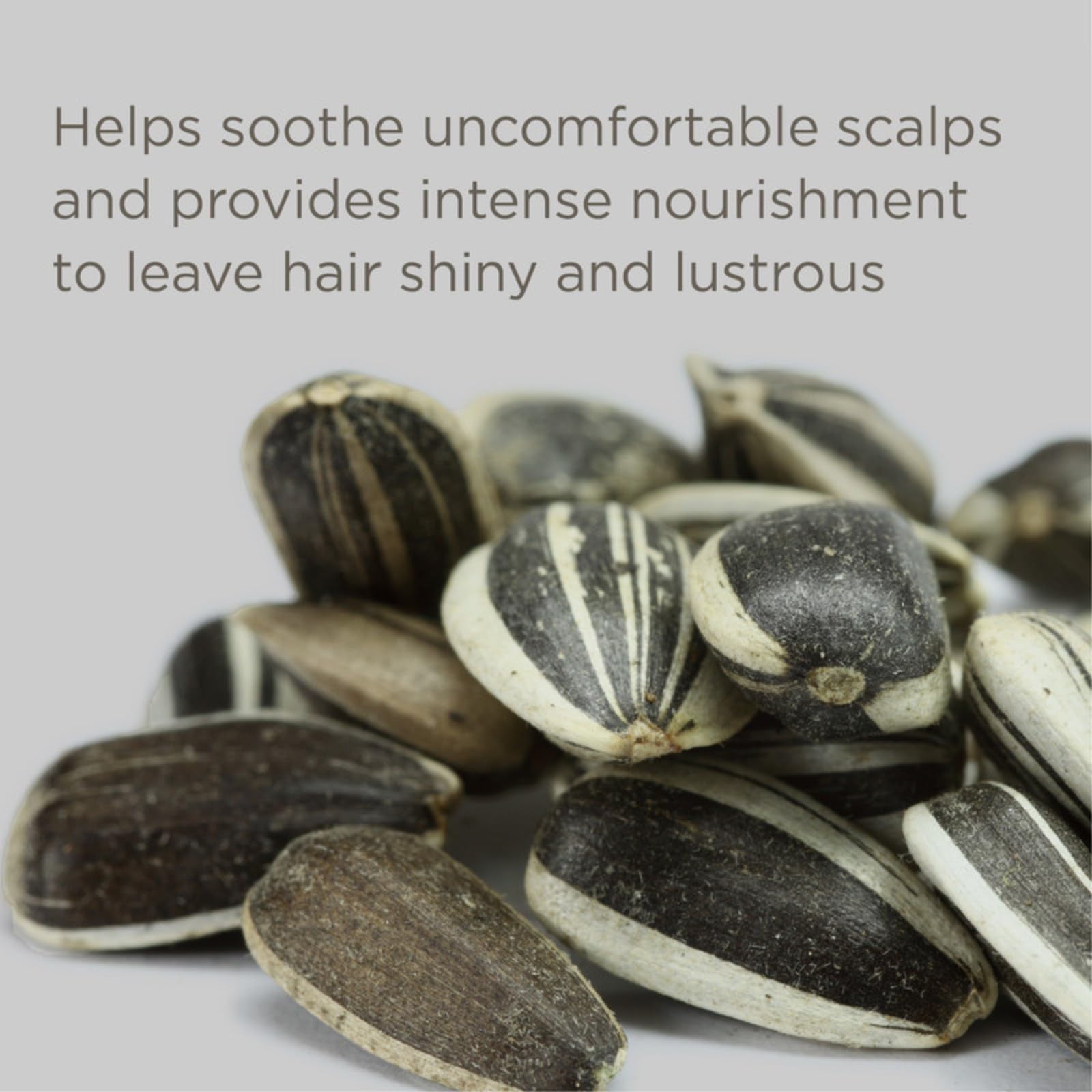 Hairitage Basic Fragrance-free Conditioner Chamomile Sunflower Seed Oil Ultra