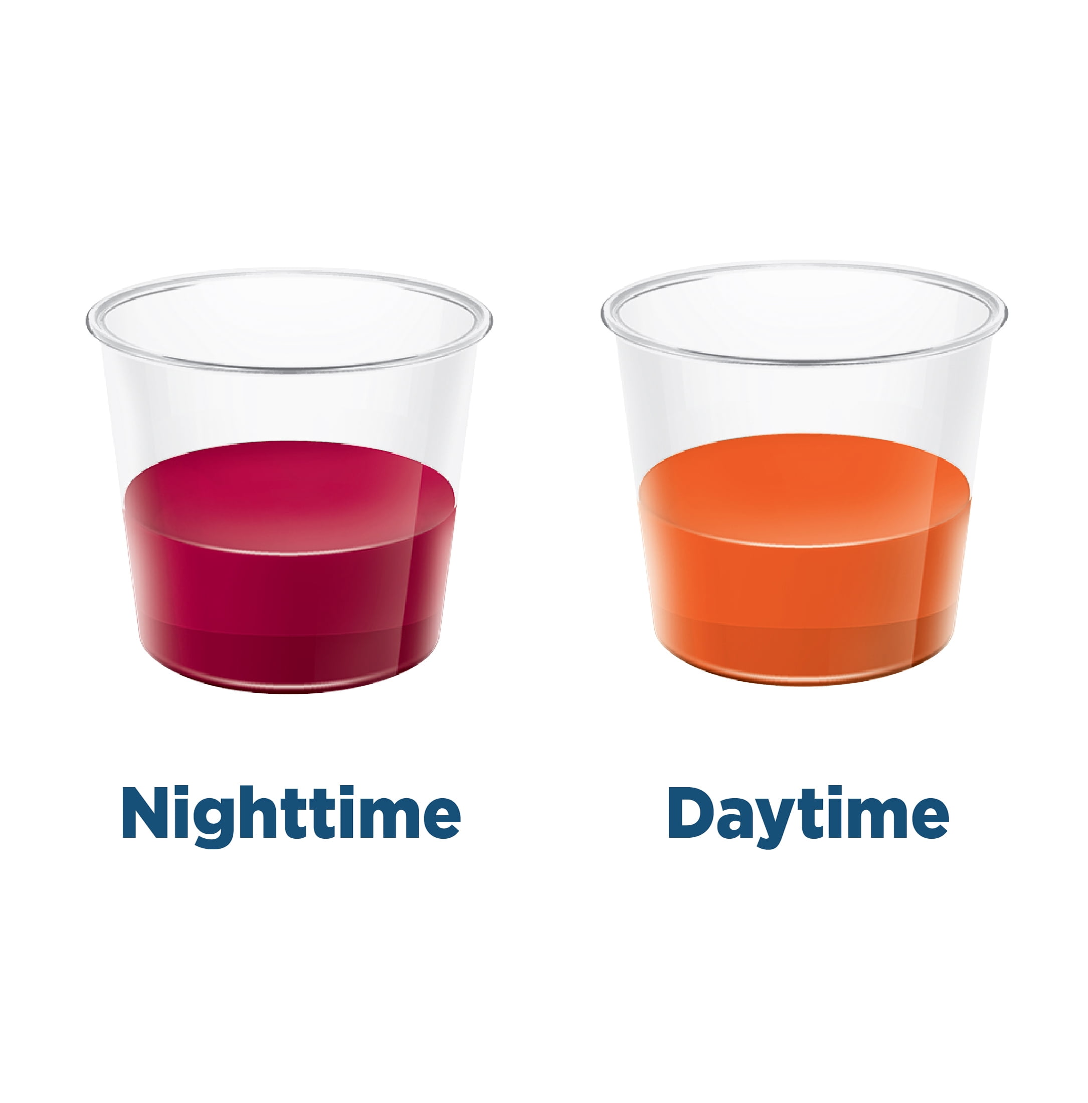 Equate Daytime Nighttime Cold Flu Relief Liquid Combo Pack 12 fl oz Bottles