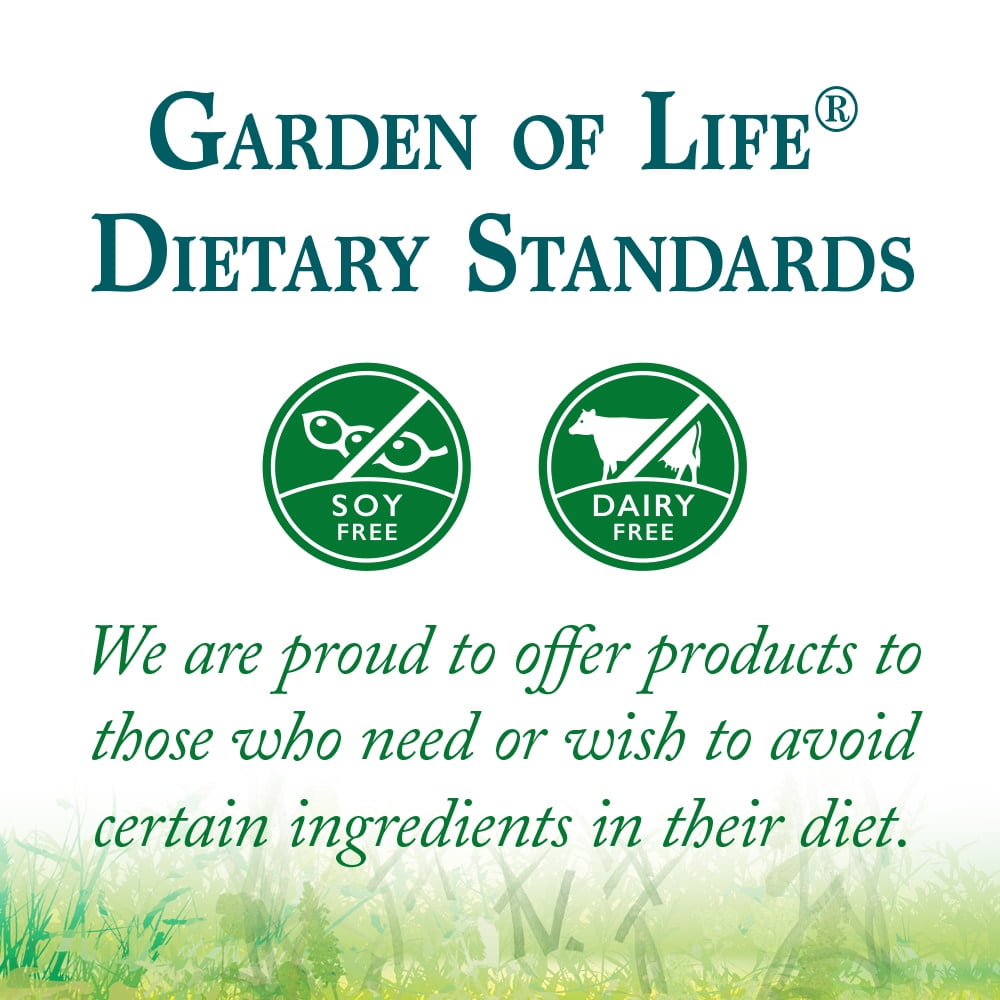 Garden of Life Raw Protein Greens Powder Lightly Sweet 20g Protein 1.4lb 23.0oz"