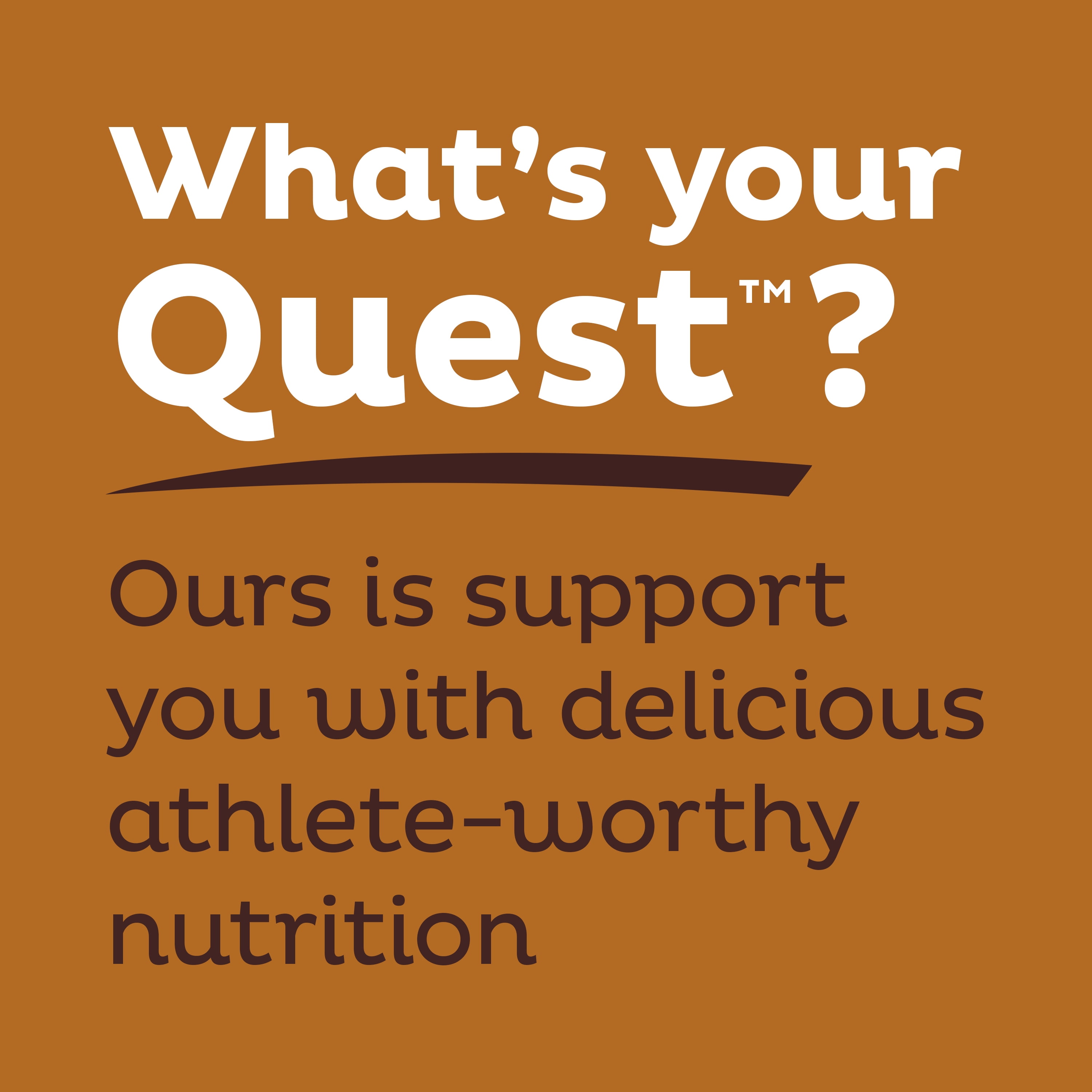 Quest Dipped Protein Bar High Protein Low Sugar Chocolate Peanut Butter 4 Count