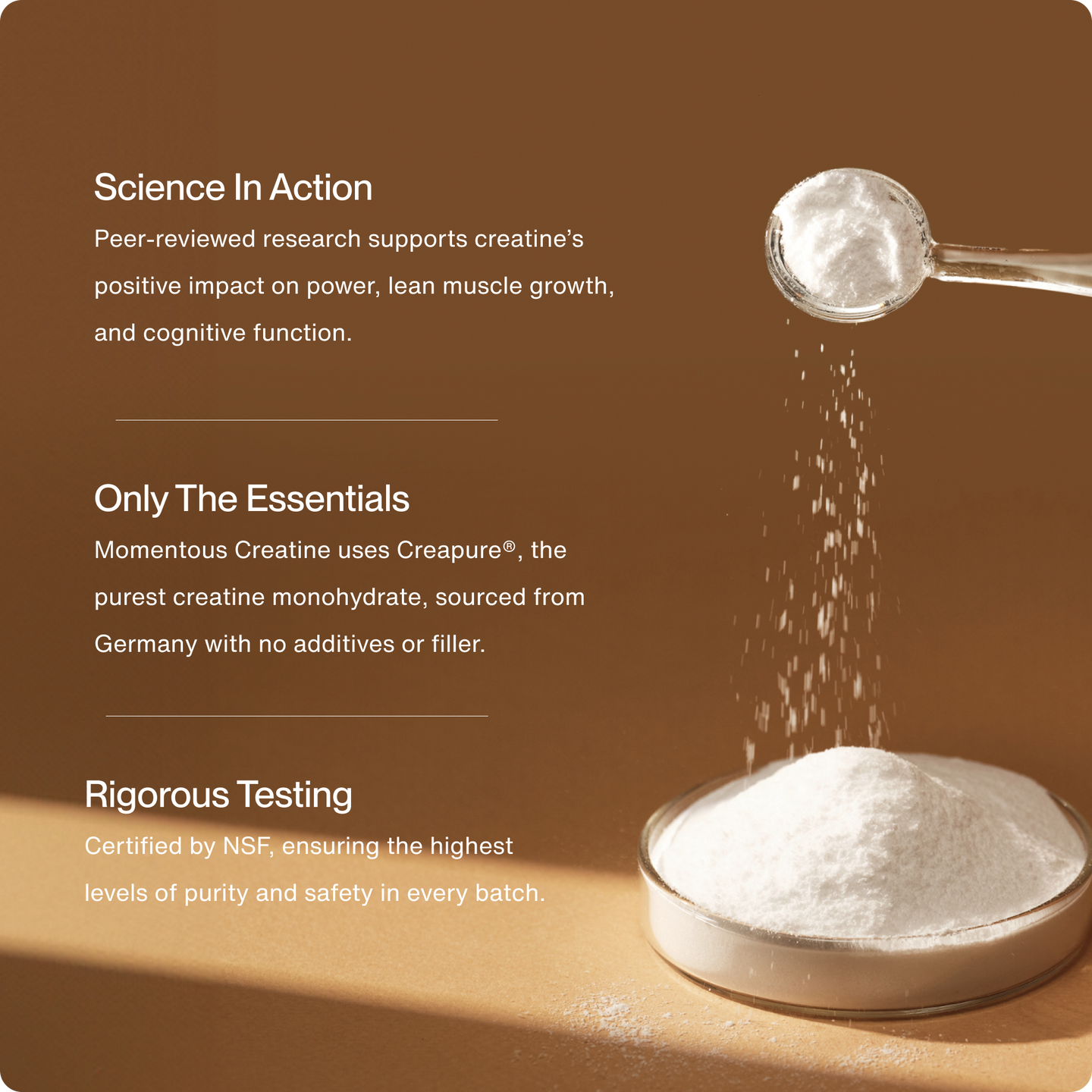 Momentous Creatine - 450 Gr