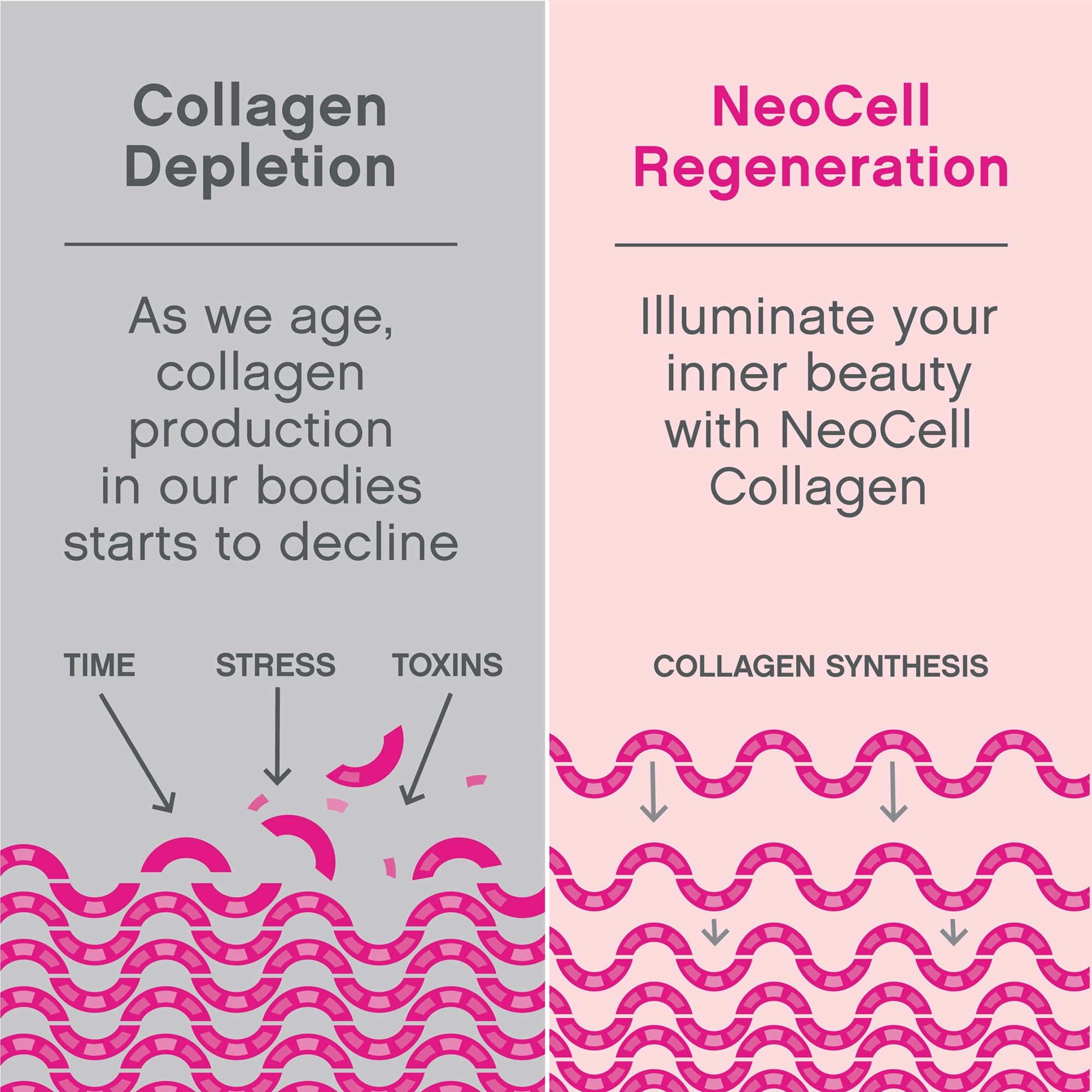 NeoCell Beauty Bursts Collagen Soft Chews 60 Count Fruit Punch 2000mg Collagen Types