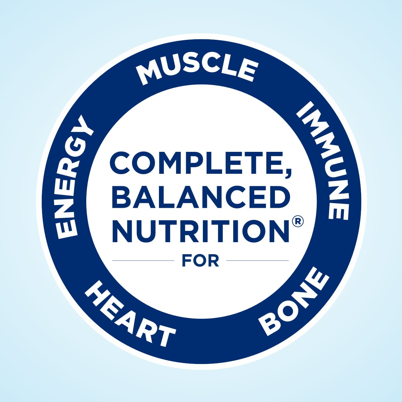 Ensure Complete Nutrition Shake 30G Protein Milk Chocolate 10 fl oz 4 Count Pack
