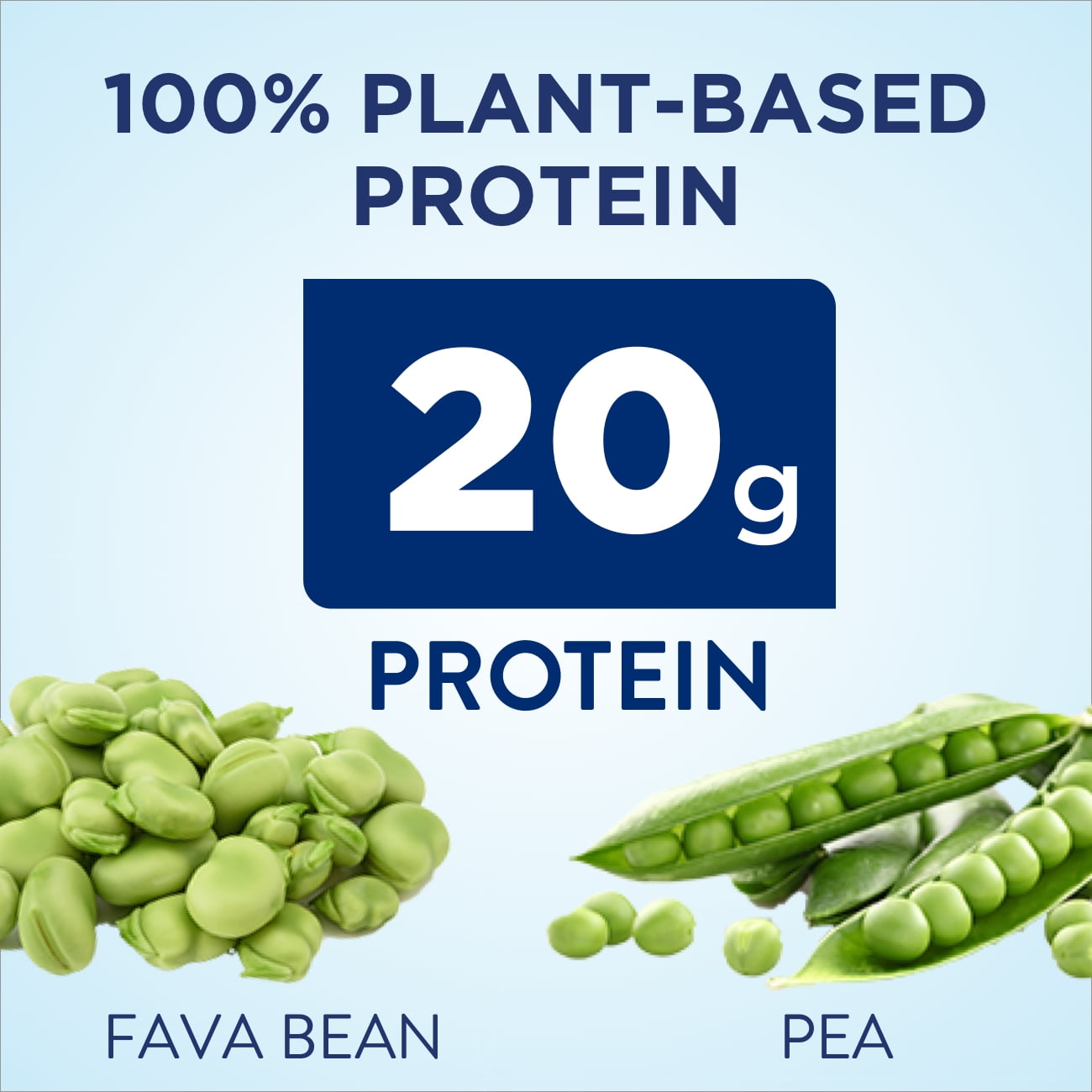 Ensure Plant Based Vegan Protein Chocolate Nutrition Shake 4 Pack