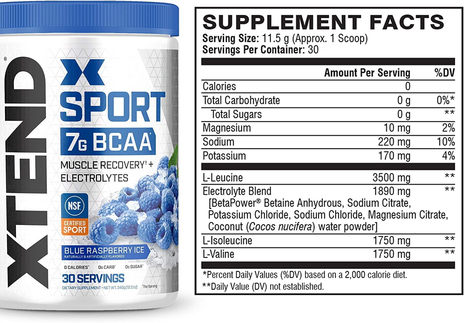 Xtend Sport 7g BCAA Powder Muscle Recovery Sugar Free Blue Raspberry Ice 30 Servings