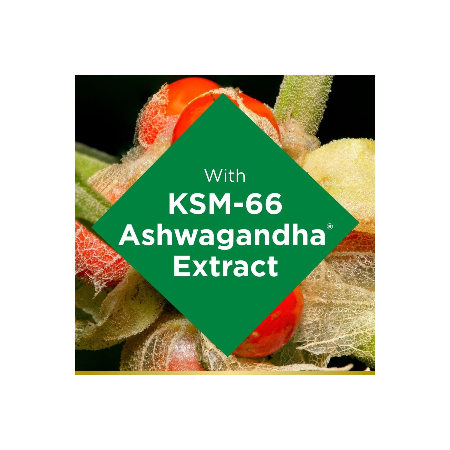 Nature’s Bounty Ashwagandha Stress Support Gummies KSM-66 300mg Mixed Berry 60 Gummies