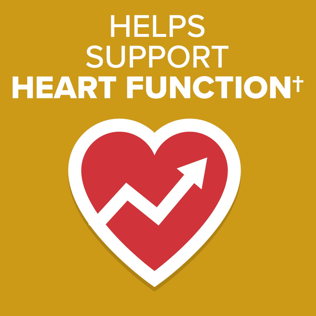 Qunol Ubiquinol CoQ10 Softgels 200mg Extra Strength Heart Health Supplement 60 Count for