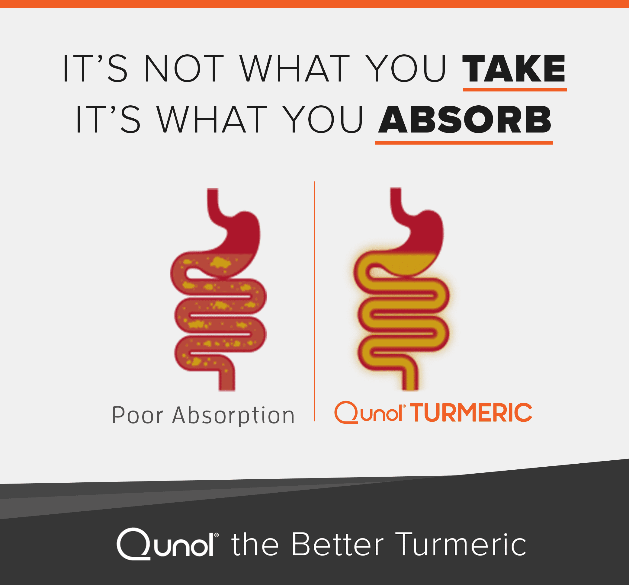 Qunol Turmeric Curcumin 1000mg High Absorption for Joint Support 30 Softgels