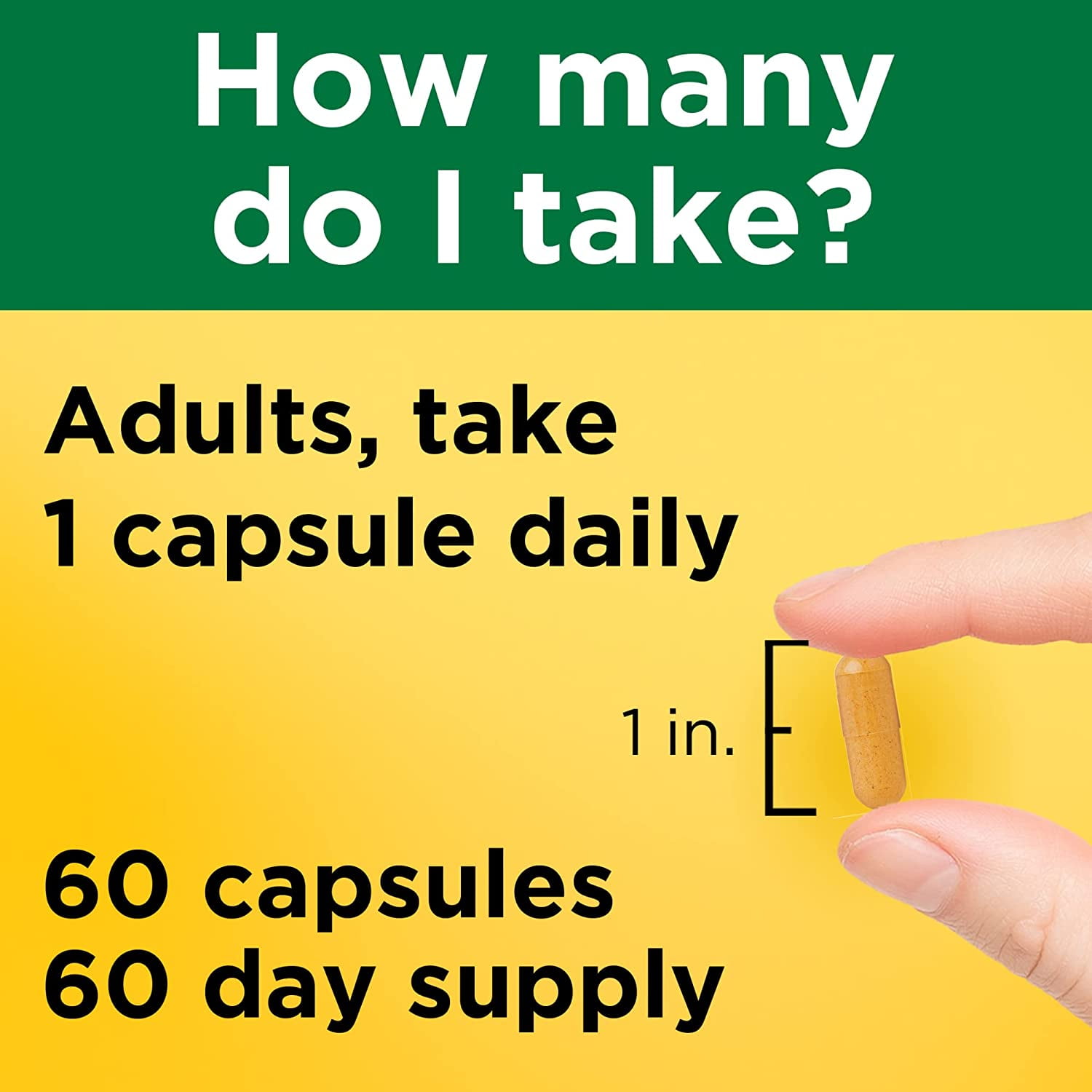 Nature Made Turmeric Curcumin Antioxidant Benefits Standardized Extract 60 Capsules 3 Pack